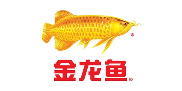 Golden Dragon Fish