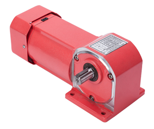 Yamato direct axis gear motor