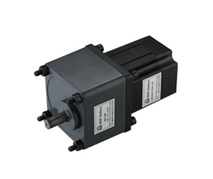 300W brushless motor with gear reducer