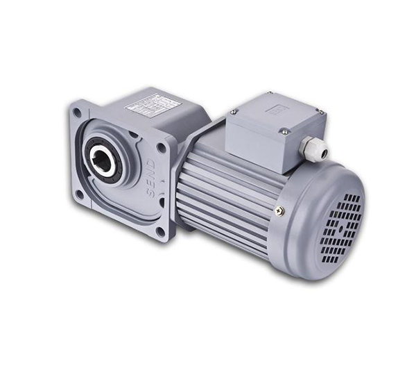 DC-AC shaft reduction motor